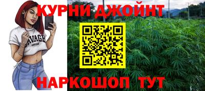 Альфа ПВП Ярославль