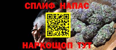 Альфа ПВП Ярославль