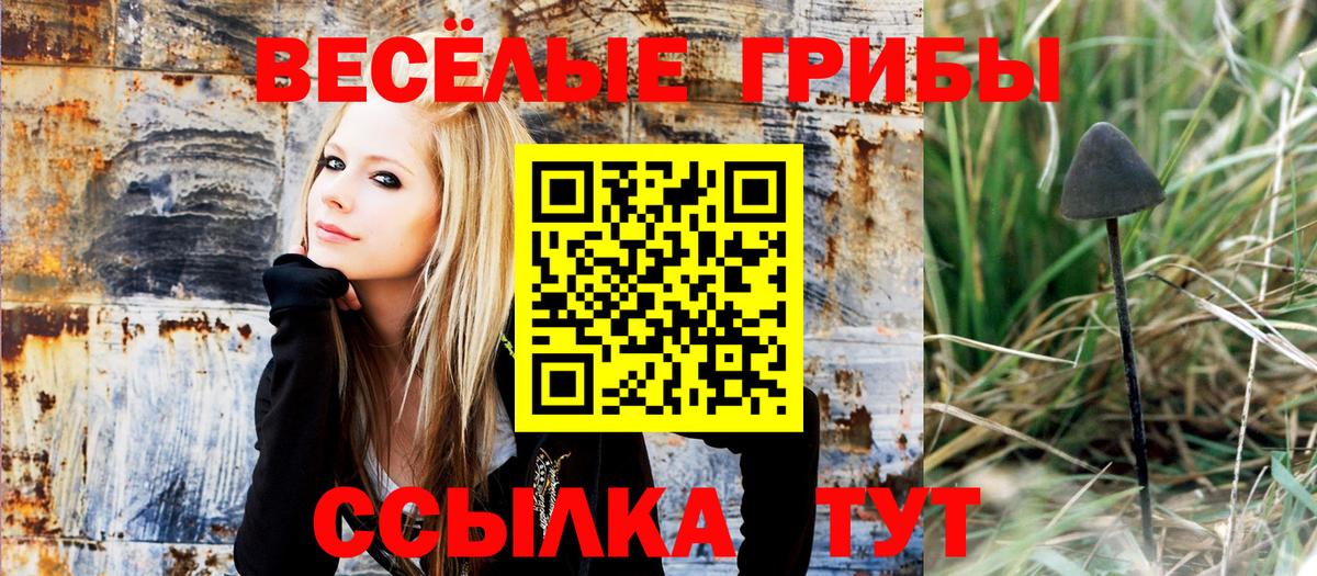 Псилоцибиновые грибы ЛСД Воркута