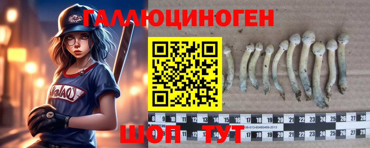 Псилоцибиновые грибы Psilocybine cubensis  Вход с VPN  Воркута 